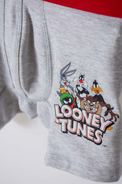 PACK X2 BOXER DE LOS LOONEY TUNES AZUL Y GRIS PARA NIÑO