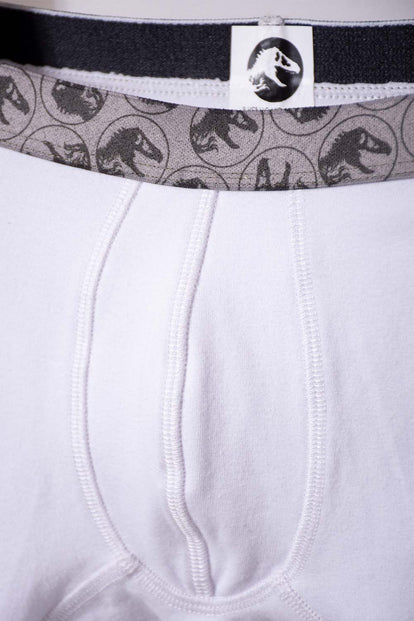 PACK X2 BOXER DE JURASSIC WORLD VERDE Y BLANCO PARA NIÑO