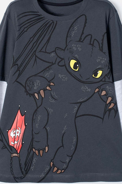 CAMISETA CÓMO ENTRENAR A TU DRAGÓN GRIS MANGA LARGA PARA NIÑO