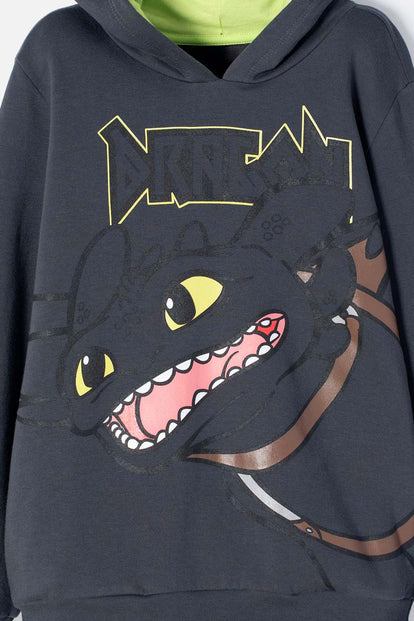 BUZO CÓMO ENTRENAR A TU DRAGÓN GRIS Y VERDE CON CAPUCHA PARA NIÑO