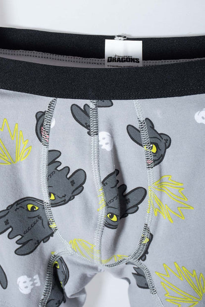 PACK X2 BOXER CÓMO ENTRENAR A TU DRAGÓN GRIS, NEGRO Y VERDE EN DÚO PARA NIÑO