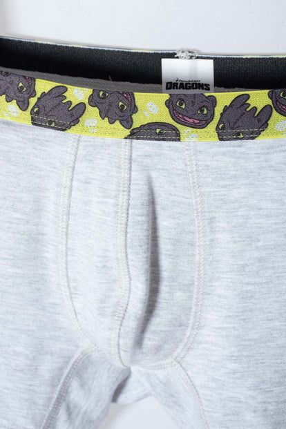 PACK X2 BOXER CÓMO ENTRENAR A TU DRAGÓN GRIS, NEGRO Y VERDE EN DÚO PARA NIÑO