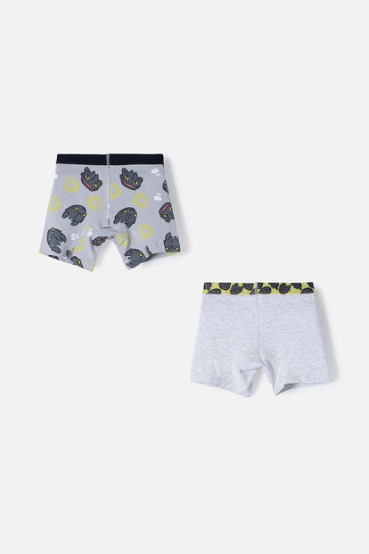 PACK X2 BOXER CÓMO ENTRENAR A TU DRAGÓN GRIS, NEGRO Y VERDE EN DÚO PARA NIÑO