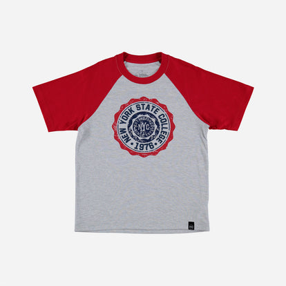 CAMISETA DE MIC MANGA CORTA GRIS Y ROJA PARA NIÑO