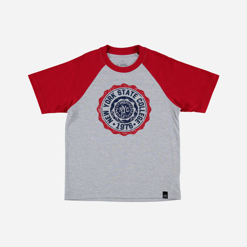 CAMISETA DE MIC MANGA CORTA GRIS Y ROJA PARA NIÑO