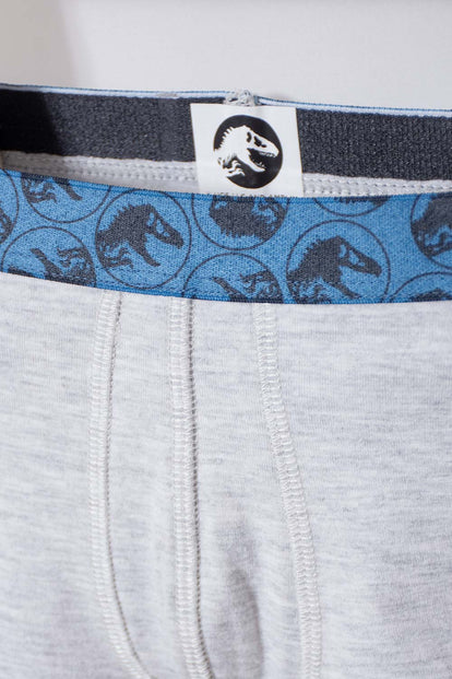 PACK X2 BOXER DE JURASSIC WORLD AZUL Y GRIS PARA NIÑO 2T A 5T