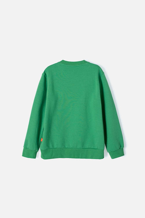 BUZO DE LAS TORTUGAS NINJA CERRADO VERDE PARA NIÑO