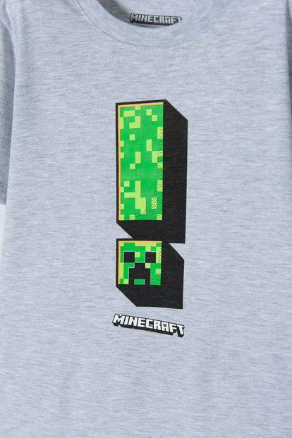CAMISETA DE MINECRAFT MANGA CORTA GRIS PARA NIÑO