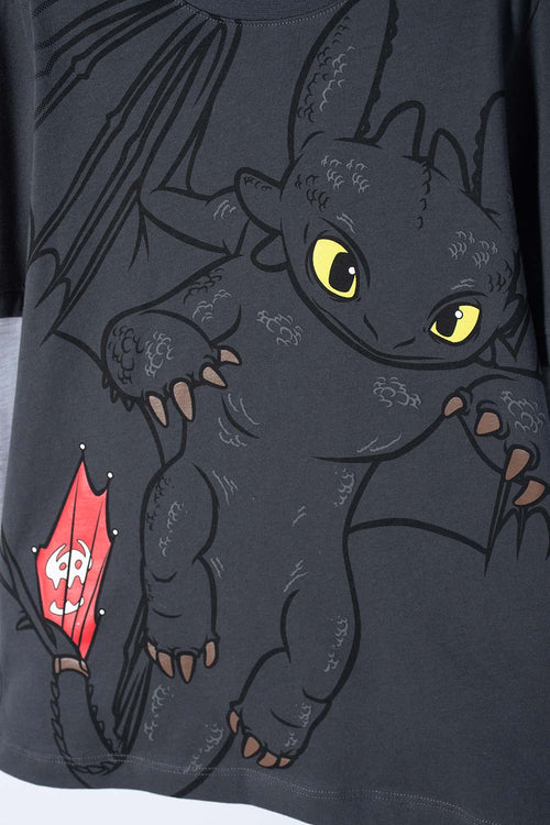 CAMISETA CÓMO ENTRENAR A TU DRAGÓN GRIS MANGA LARGA PARA NIÑO
