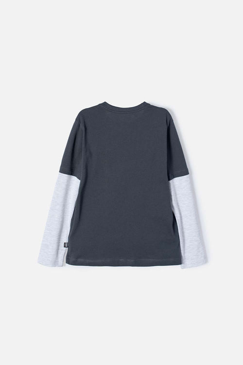 CAMISETA CÓMO ENTRENAR A TU DRAGÓN GRIS MANGA LARGA PARA NIÑO