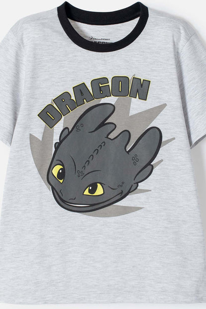 PIJAMA CÓMO ENTRENAR A TU DRAGÓN GRIS Y NEGRA DE PANTALÓN LARGO PARA NIÑO