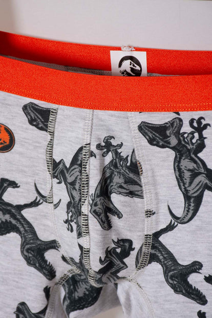 PACK X2 BOXER DE JURASSIC WORLD MULTICOLOR PARA NIÑO