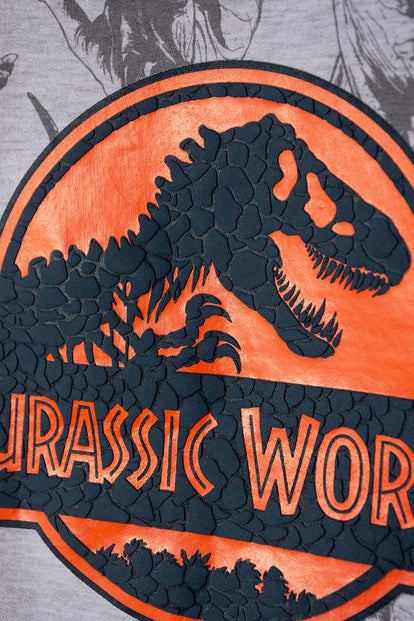 CONJUNTO DE JURASSIC WORLD GRIS PARA NIÑO