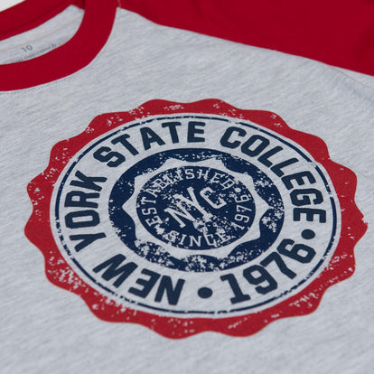 CAMISETA DE MIC MANGA CORTA GRIS Y ROJA PARA NIÑO