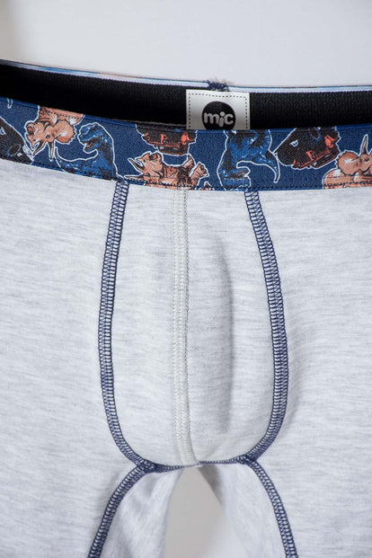 PACK X2 BOXER DE MIC GRIS Y AZUL PARA NIÑO