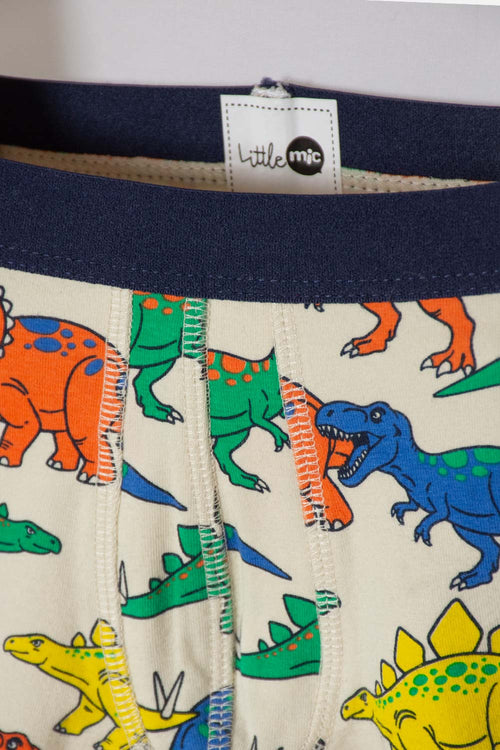 PACK X2 BOXER DE LITTLEMIC MULTICOLOR PARA NIÑO 2T A 6T