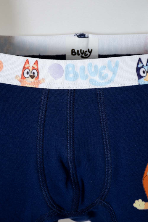 PACK X2 BOXER DE BLUEY AZUL Y BLANCO PARA NIÑO 2T A 6T