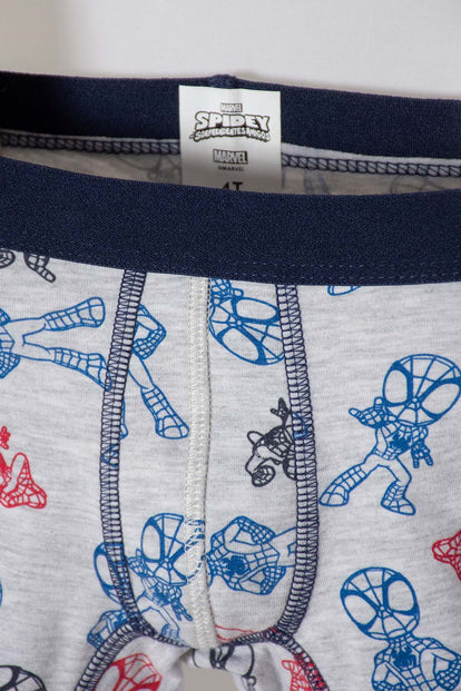 PACK X2 BOXER DE SPIDER-MAN MULTICOLOR PARA NIÑO 2T A 6T