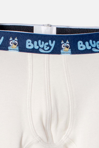 PACK X2 BOXER DE BLUEY MULTICOLOR PARA NIÑO 2T A 6T