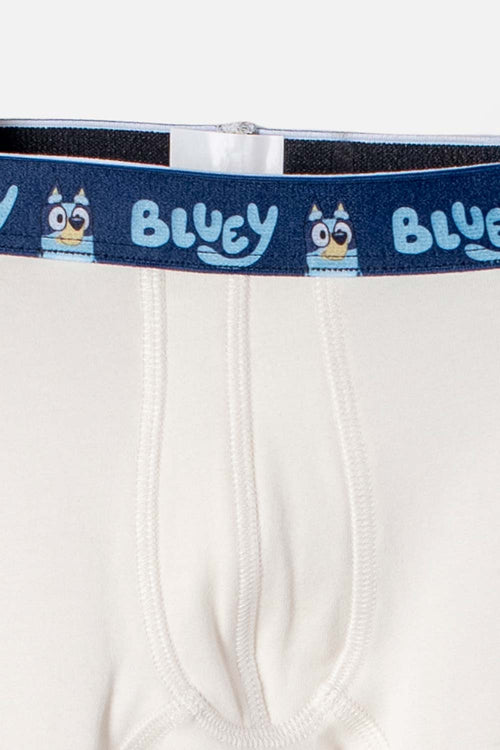 PACK X2 BOXER DE BLUEY MULTICOLOR PARA NIÑO 2T A 6T