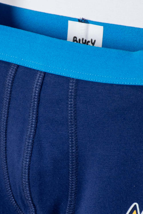 PACK X2 BOXER DE BLUEY AZUL PARA NIÑO 2T A 6T